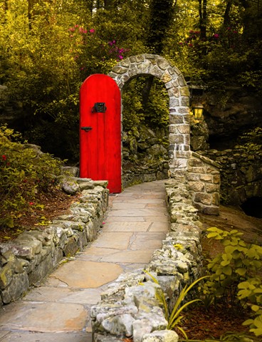 Photo by GodsCreation