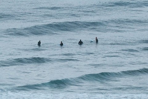 Photo by DailyPlanet