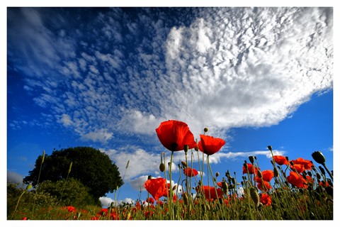 Photo by jonestheroad