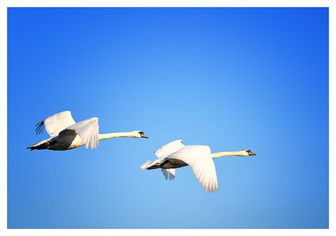 Photo by jonestheroad