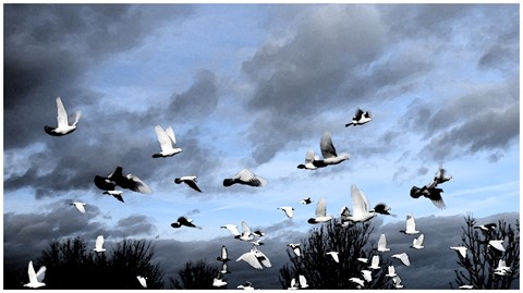 Photo by jonestheroad