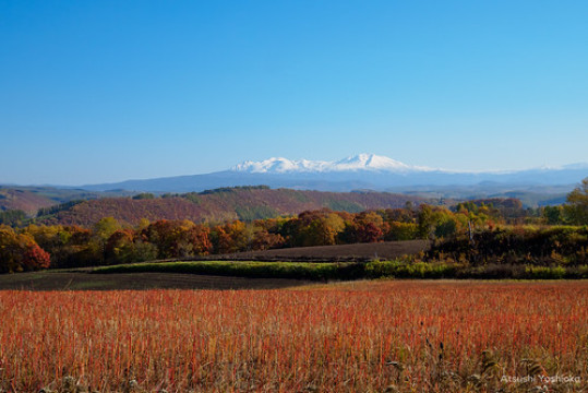 Photo by Rentio PRESS