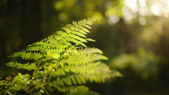 Photo by Carsten Weigel