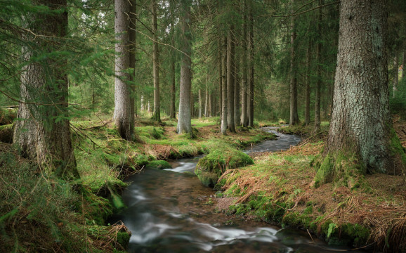 Photo by Benjamin Grimm