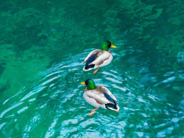 Photo by The Phoblographer