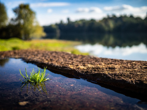 Photo by Riccardo Donà