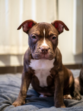 Photo by Fred Sandman