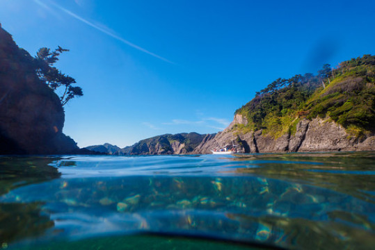 Photo by Daishi Naruse