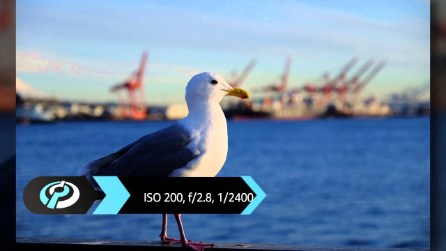 Photo by DPReview TV