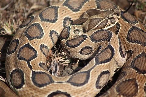 Photo by jayant atrey