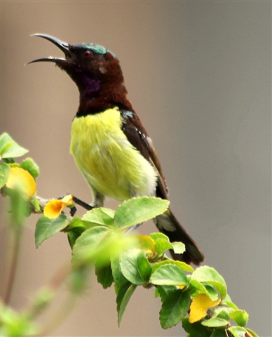 Photo by jayant atrey