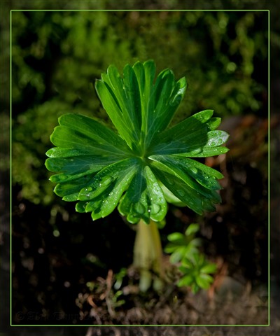 Photo by alan-tunnicliffe