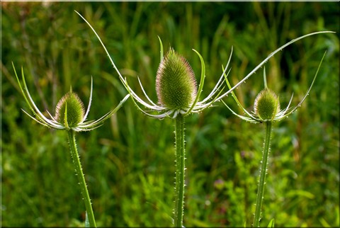 Photo by alan-tunnicliffe