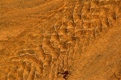 Photo by Nigel Pamment