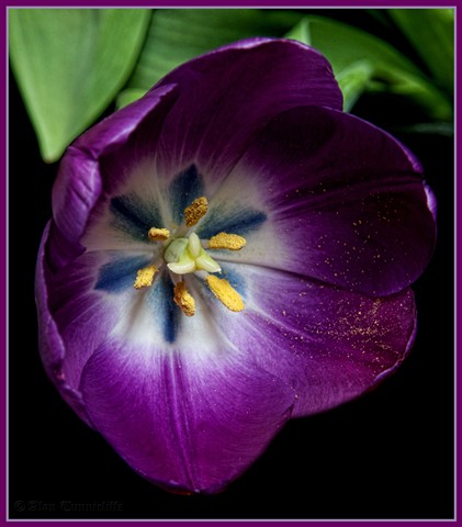 Photo by alan-tunnicliffe