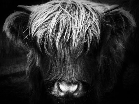 Photo by Ursi Bürgisser