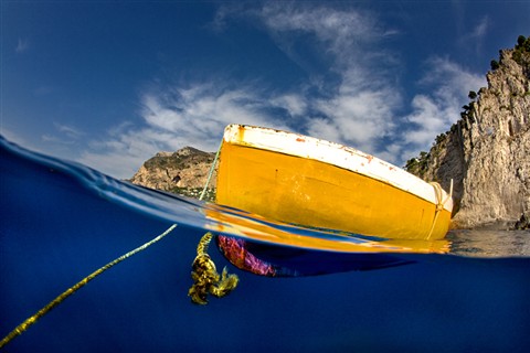 Photo by Alessandro Catuogno