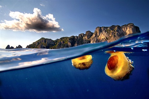 Photo by Alessandro Catuogno