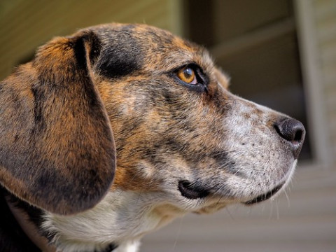 Photo by pepperberryfarm