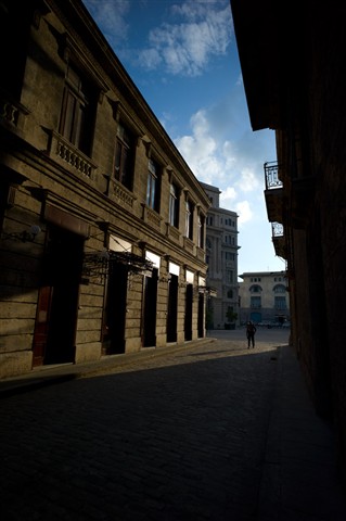 Photo by Miguel Mealha