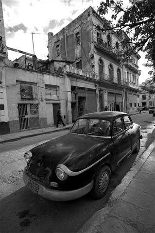 Photo by Miguel Mealha