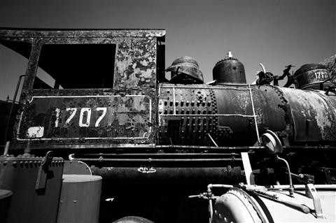 Photo by Miguel Mealha