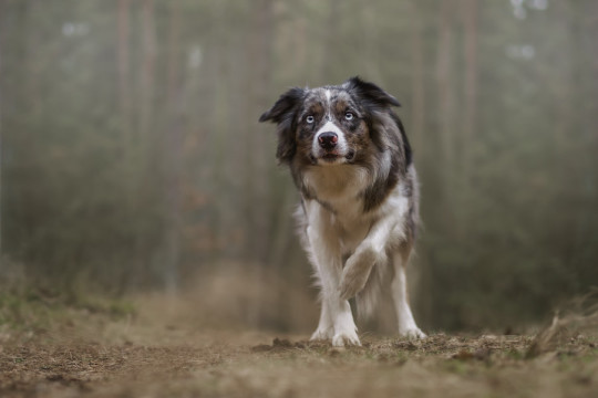 Photo by Krzysztof  Marciniak