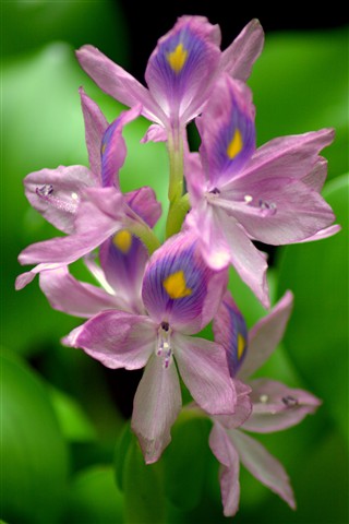 Photo by jayant atrey