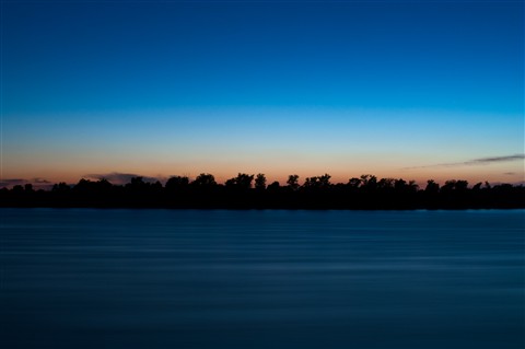 Photo by therealguppy