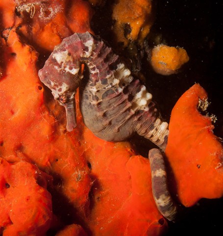 Photo by lightning boy