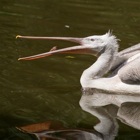 Photo by Tereza Prague