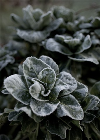 Photo by unicomichel