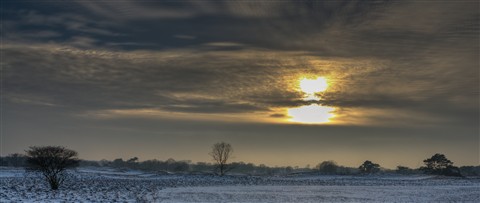 Photo by Melle van der Molen