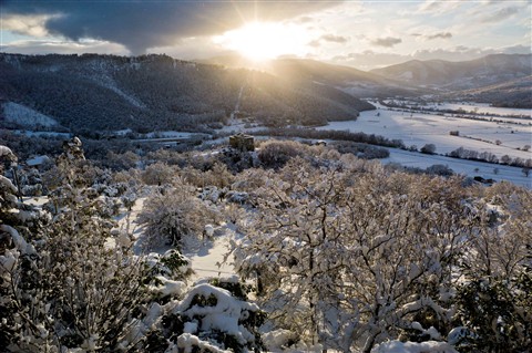 Photo by fabio pascale