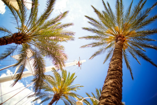 Photo by Matteo Campodonico