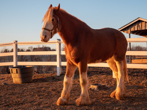 Photo by abysal_guardian