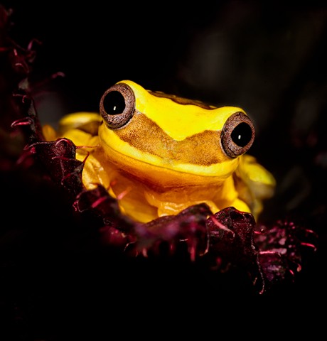 Photo by Matyszyk