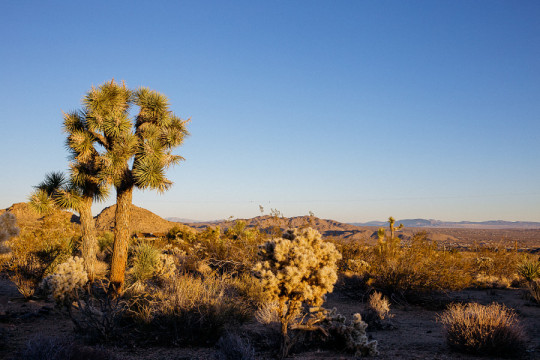 Photo by Jonathan Aydt