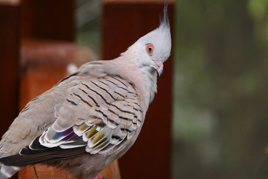 Photo by Edmond Pang