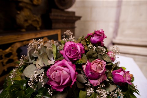 Photo by Bronx Slugger