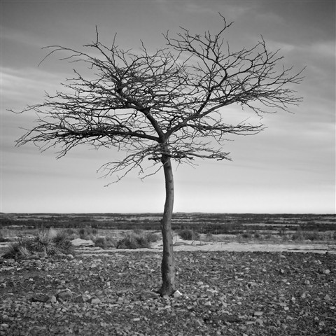 Photo by Tom Yulsman