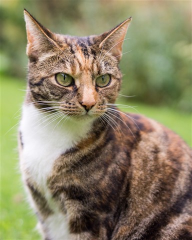 Photo by David Wogan