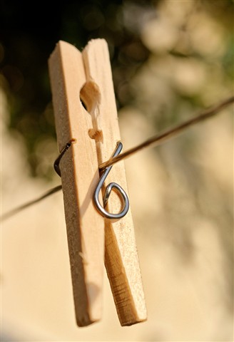 Photo by Osvaldo Cristo