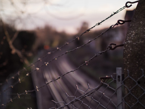 Photo by Edmond Terakopian