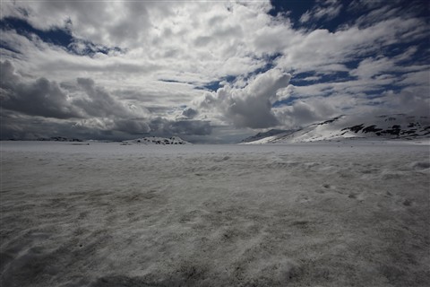 Photo by Picturenaut