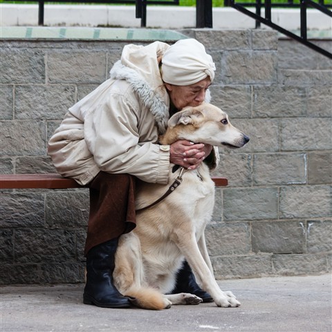 Photo by Kulverstukas