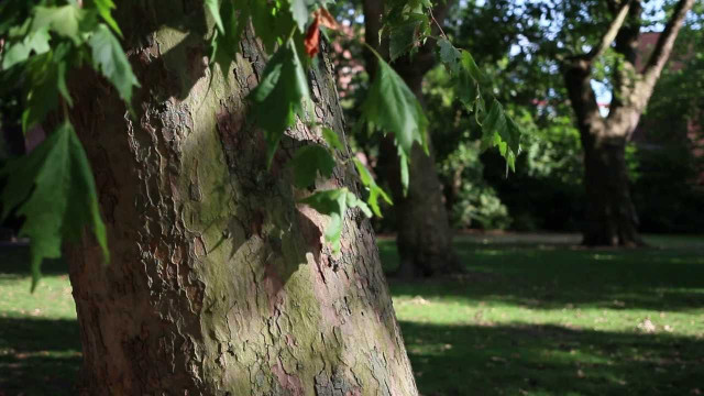 Photo by DPReview TV