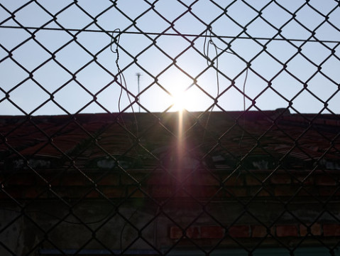 Photo by Mickey Huang