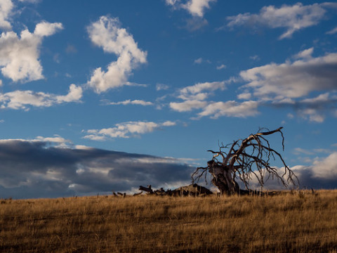 Photo by HarQ Yamaguchi