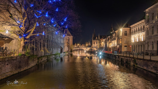 Photo by Carlos Pascual